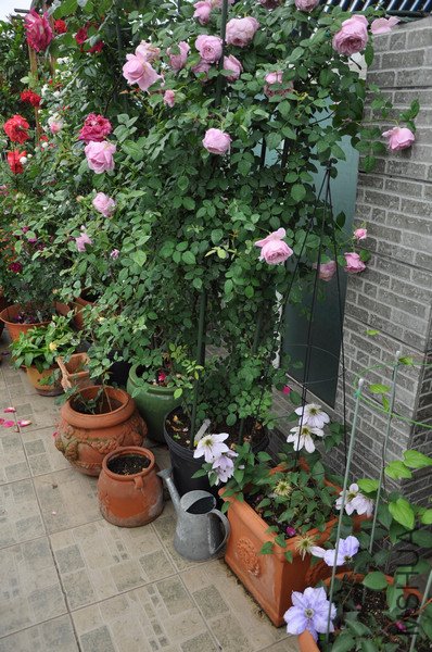 2011.5.12 059.jpg