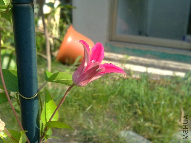 201107281675.jpg