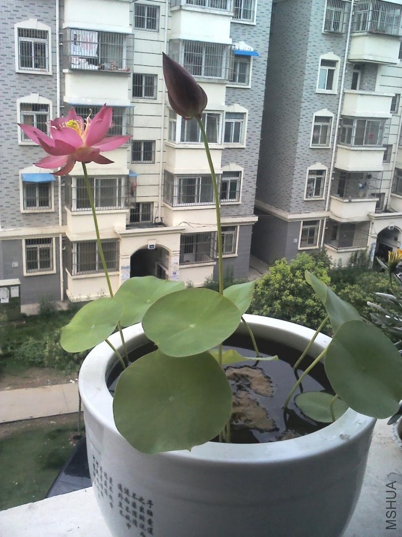 YP20110728062148.jpg