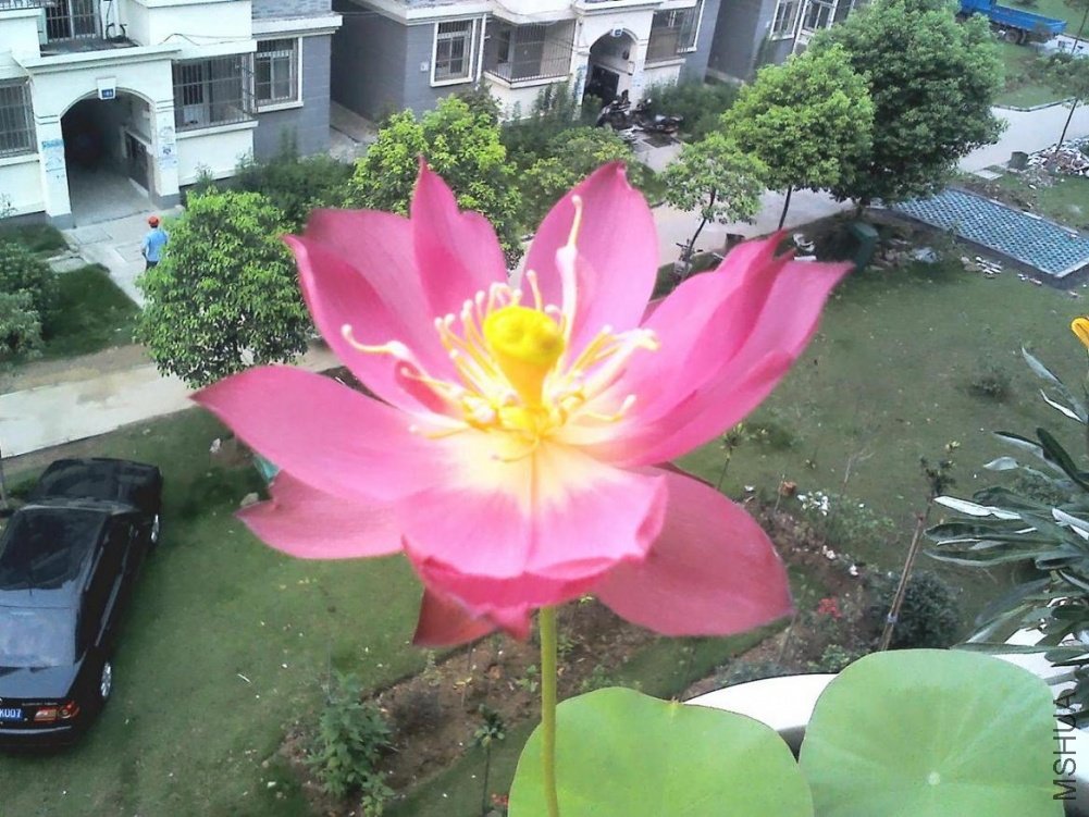 YP20110728062200.jpg