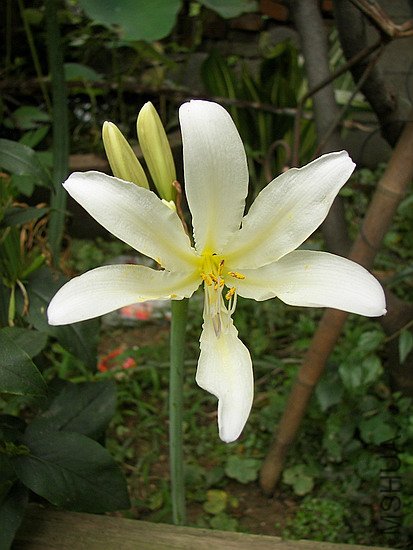101_8757.jpg