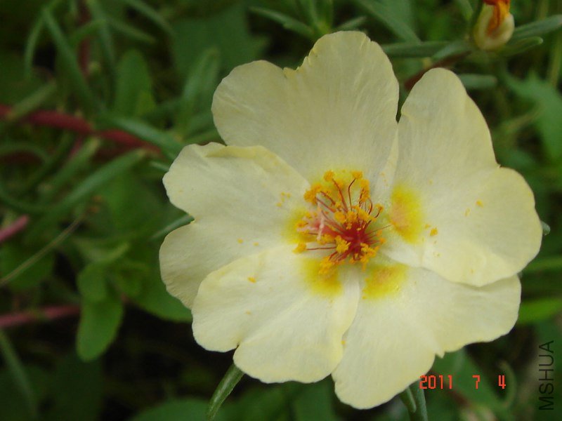 DSC04585_800x600.JPG