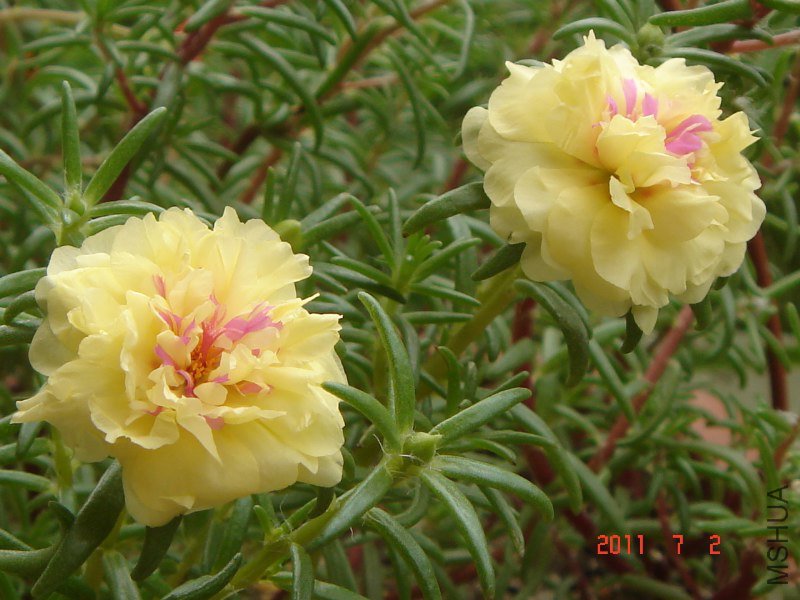 DSC04455_800x600.JPG