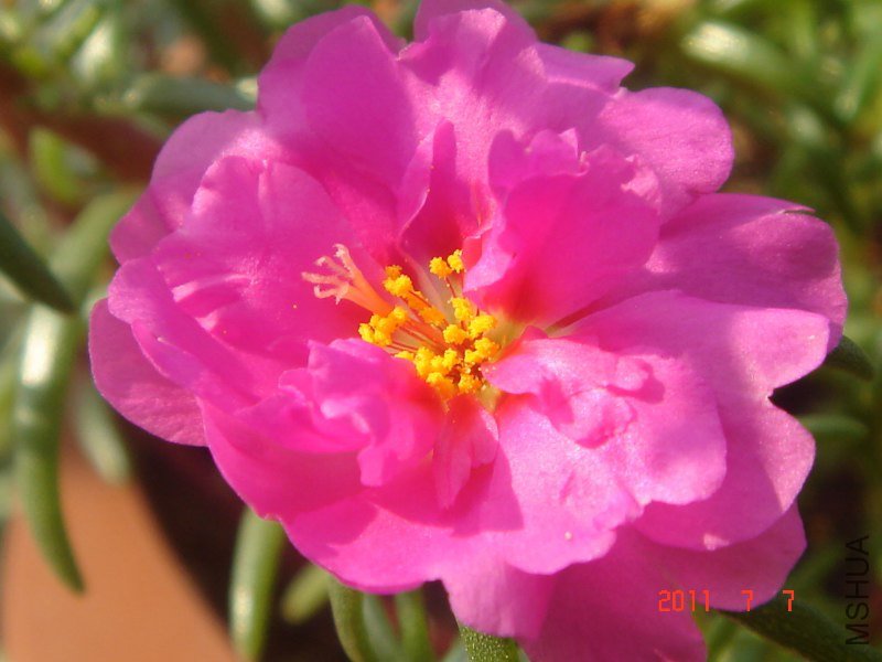 DSC04798_800x600.JPG