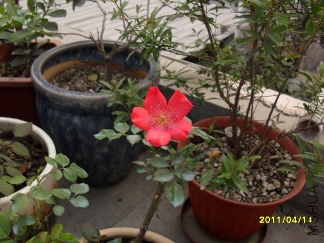 SDC11859.JPG