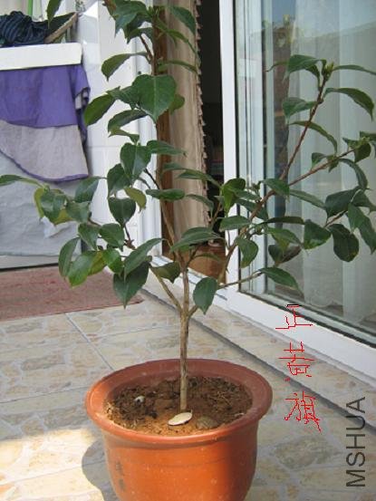 �軨 013002.JPG