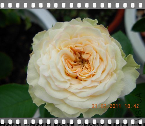 DSCN4052.jpg