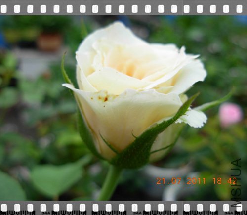 DSCN4051.jpg