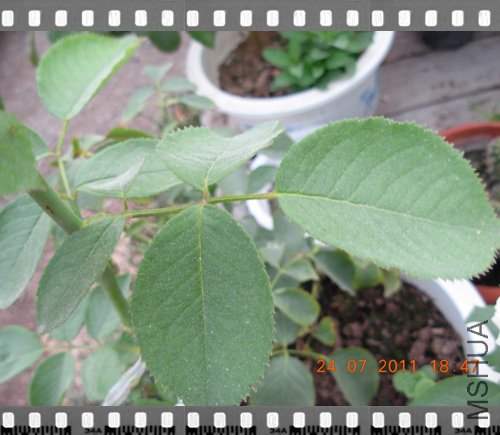 DSCN4059.jpg