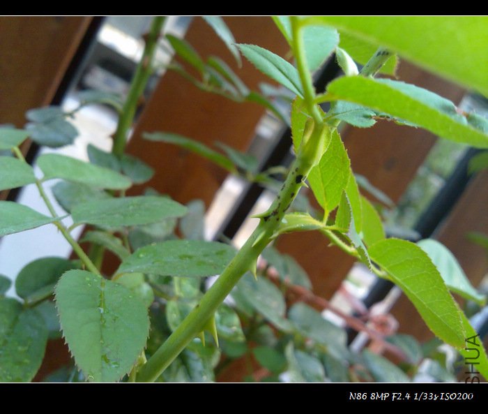 201107291574.jpg