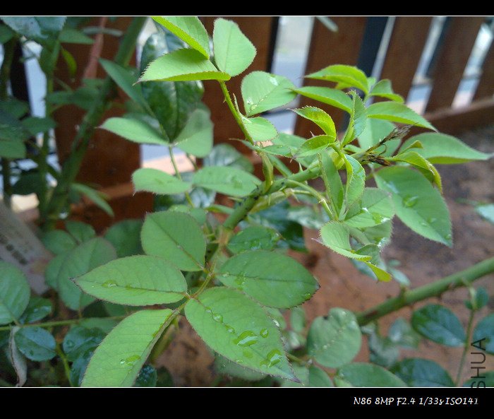 201107291577.jpg