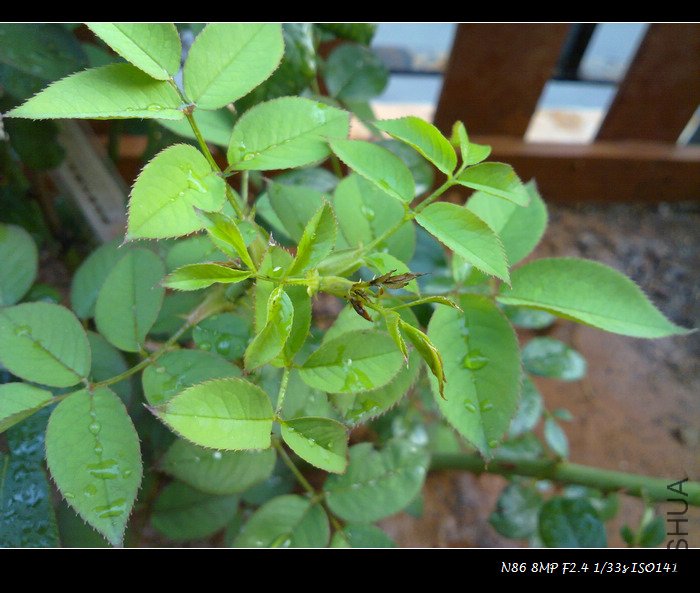 201107291575.jpg