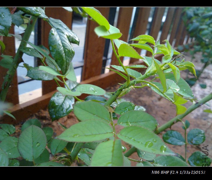 201107291578.jpg