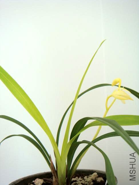 201172515356_8359d204.jpg