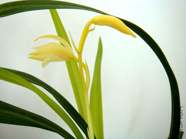 201172515416_27f2d6c9.jpg