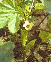 c856613e0918f32e70cf6c01.jpg