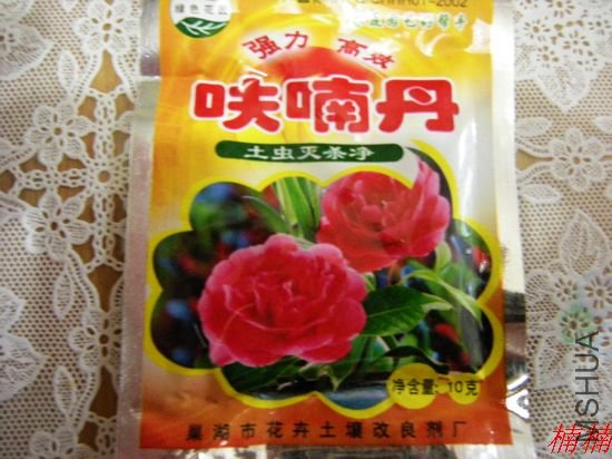 DSCN2294.jpg