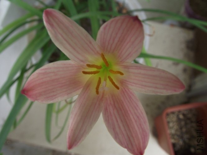 DSCF1064.JPG