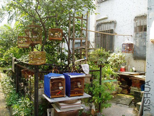 P1010170_����.jpg