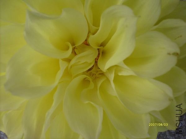 S6300249.JPG