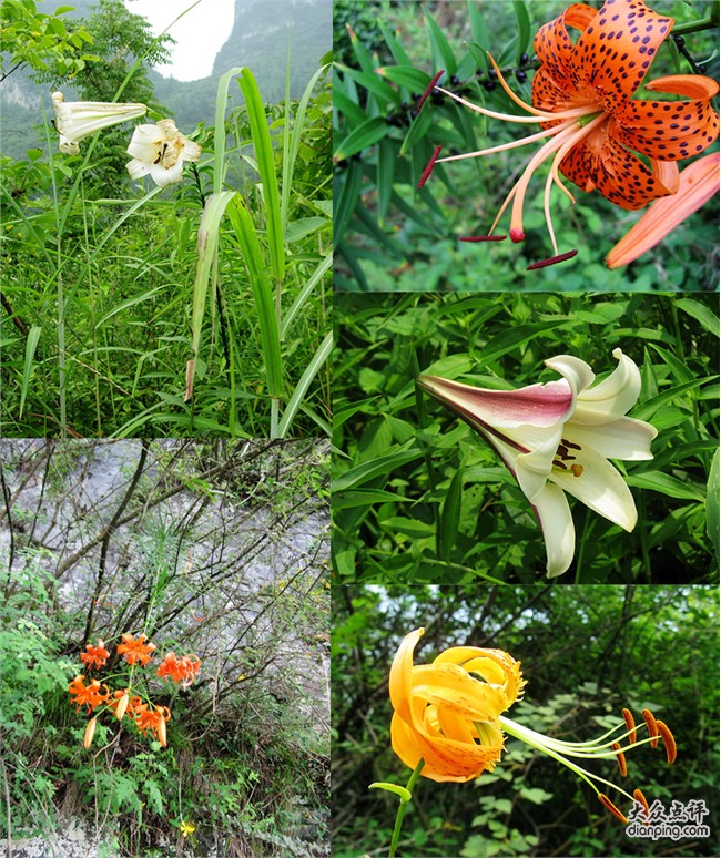 �˲��ٺϴ��ٺϾ���Ұ�ٺϺ����ٺ�5������