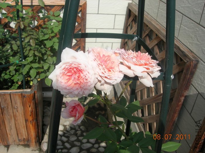 DSCN4335.jpg