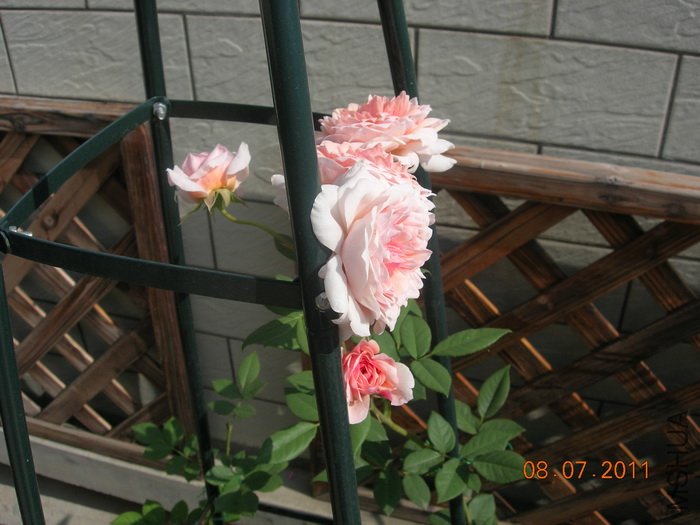 DSCN4337.jpg