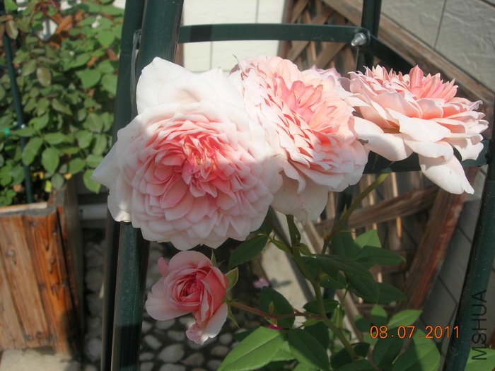 DSCN4340.jpg