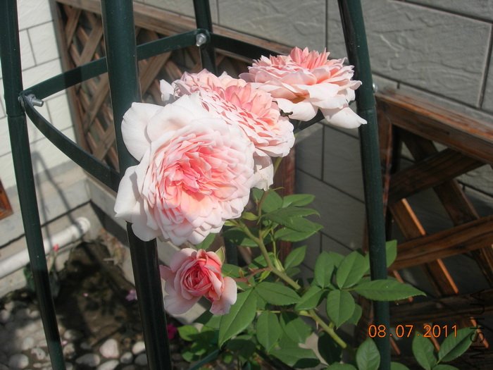 DSCN4341.jpg