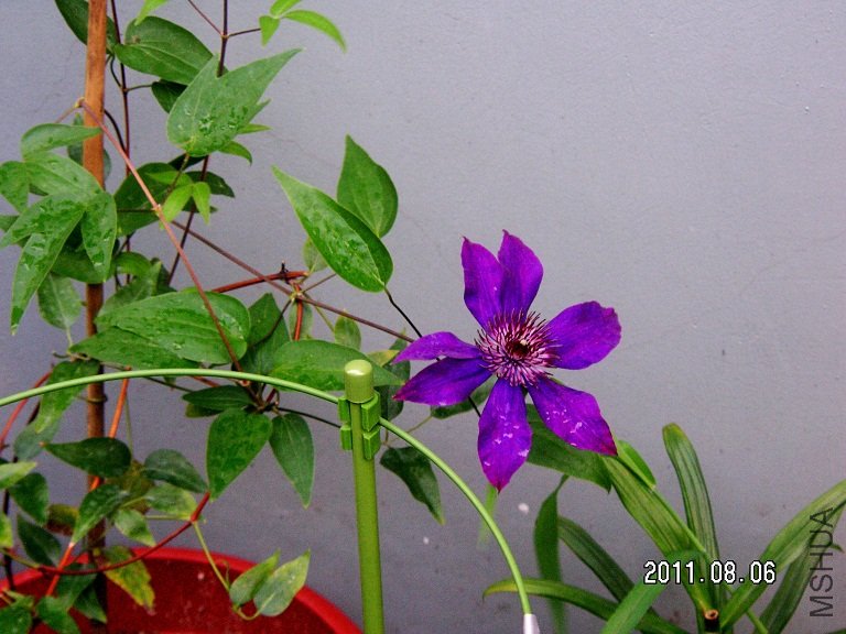 PICT0006.JPG
