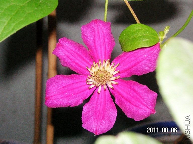 PICT0003.JPG