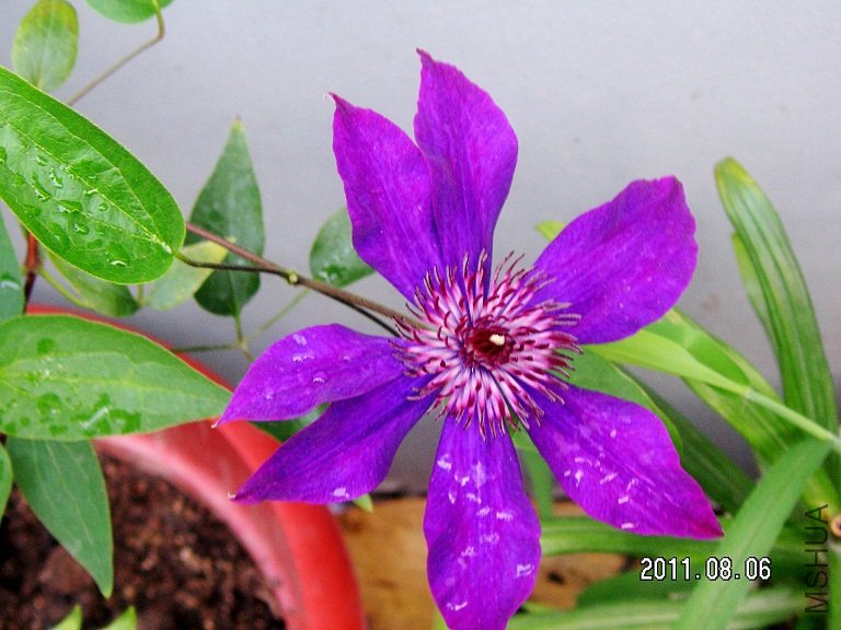 PICT0005.JPG