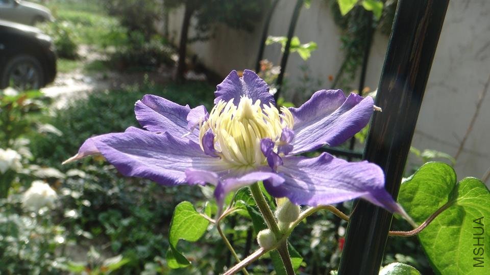 DSC03763.JPG