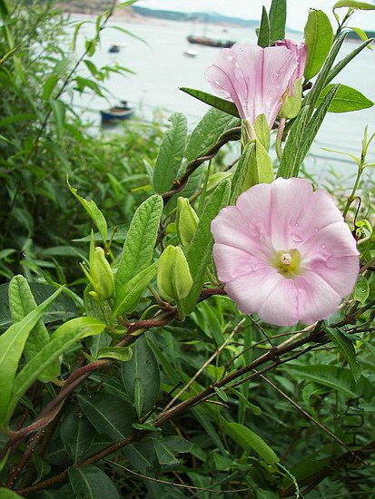 100_8827.jpg