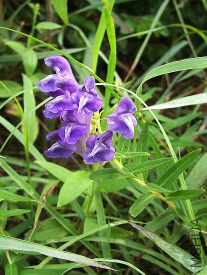 100_8846.jpg
