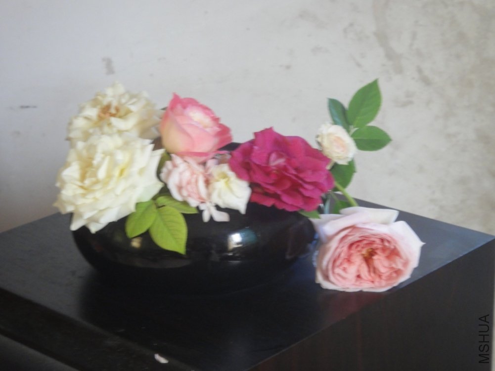 DSC07275.JPG