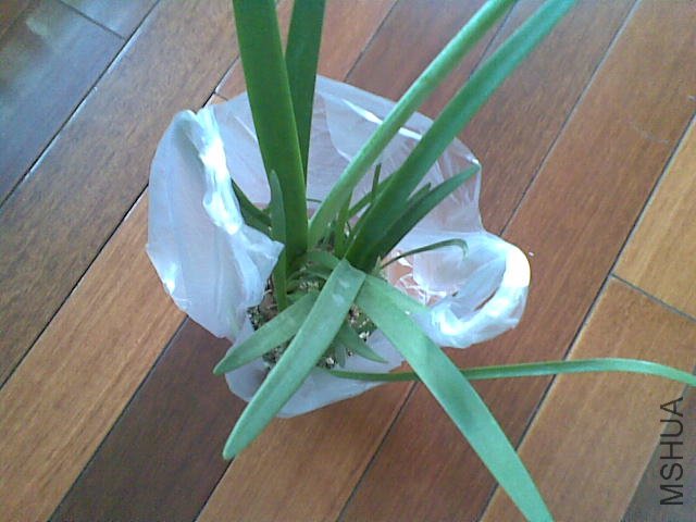 20110808_001.jpg