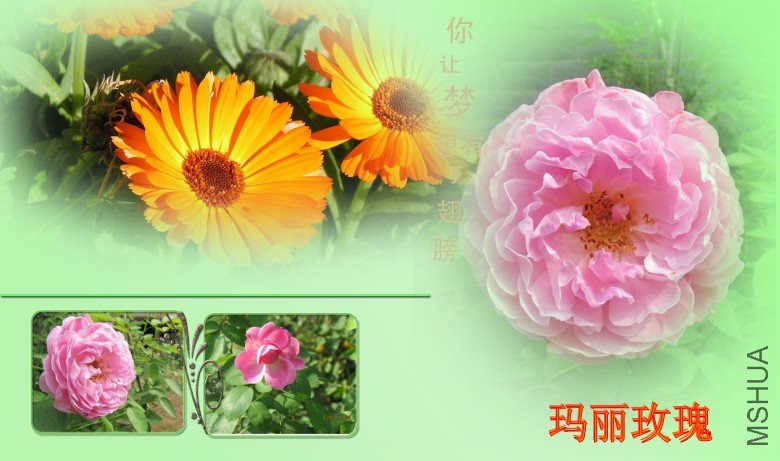 ����õ��0801_conew2.jpg