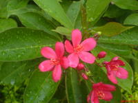 f9dcd1007375c978738b6559.jpg