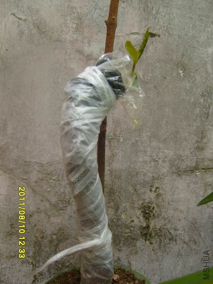 �����Ǵ��