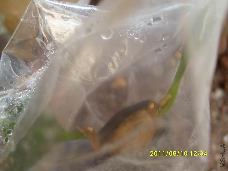 С�ɼ�⣬�����ͳ���