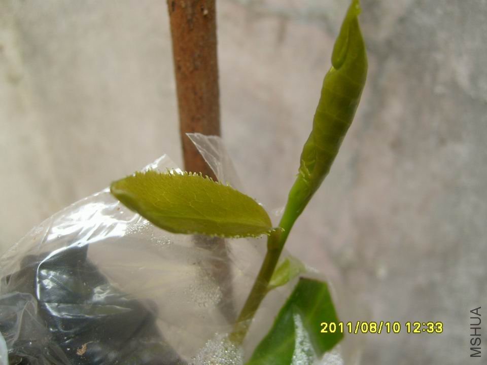 �����Ǵ��