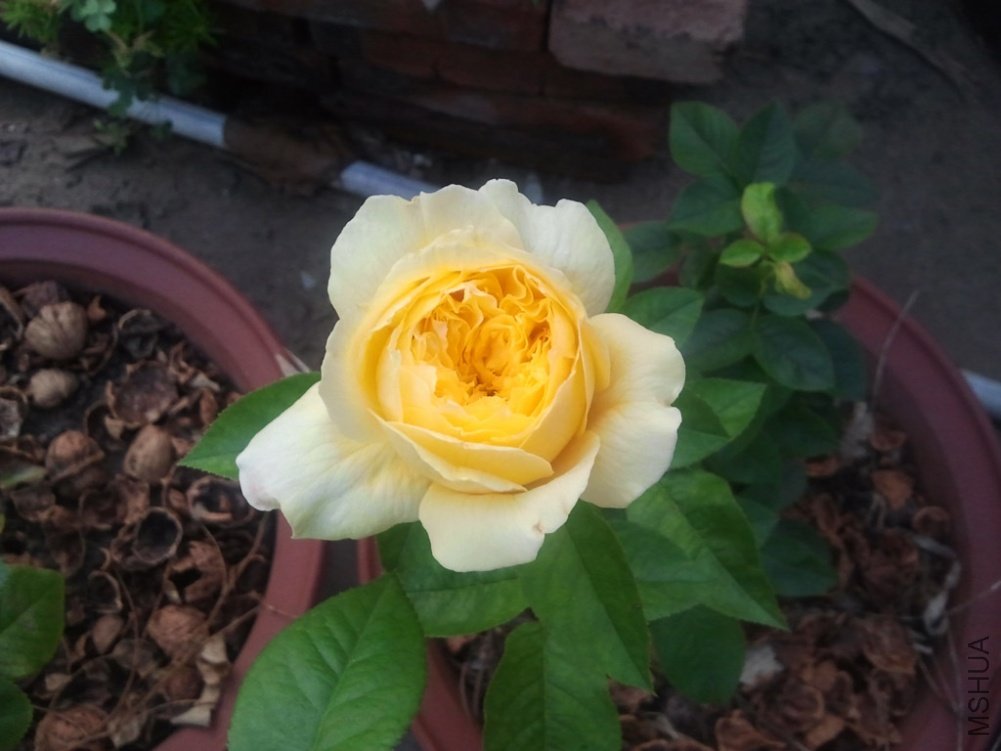 ��Ƭ0073.jpg