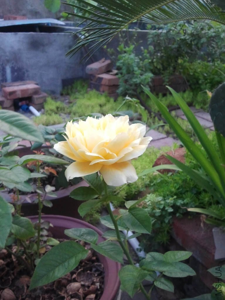 ��Ƭ0076.jpg