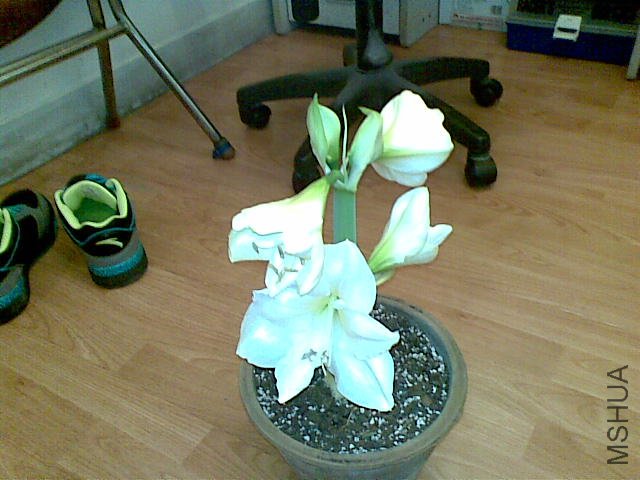 20110810_002.jpg