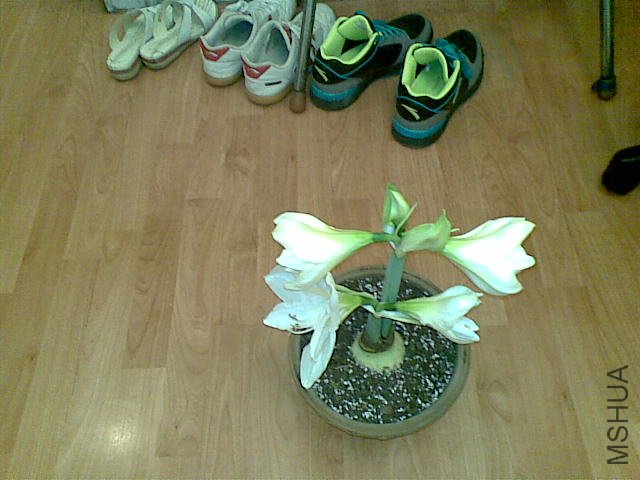 20110810_003.jpg