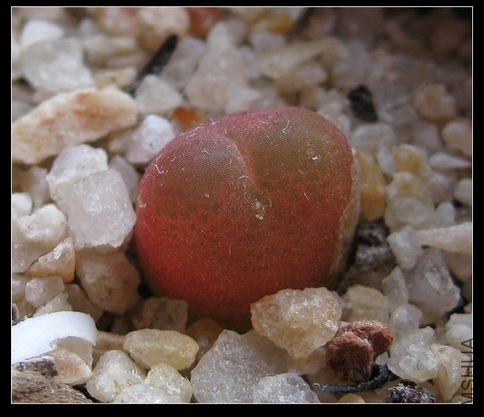 2011��3�� 011.jpg