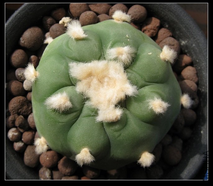 2011��4�� 007.jpg