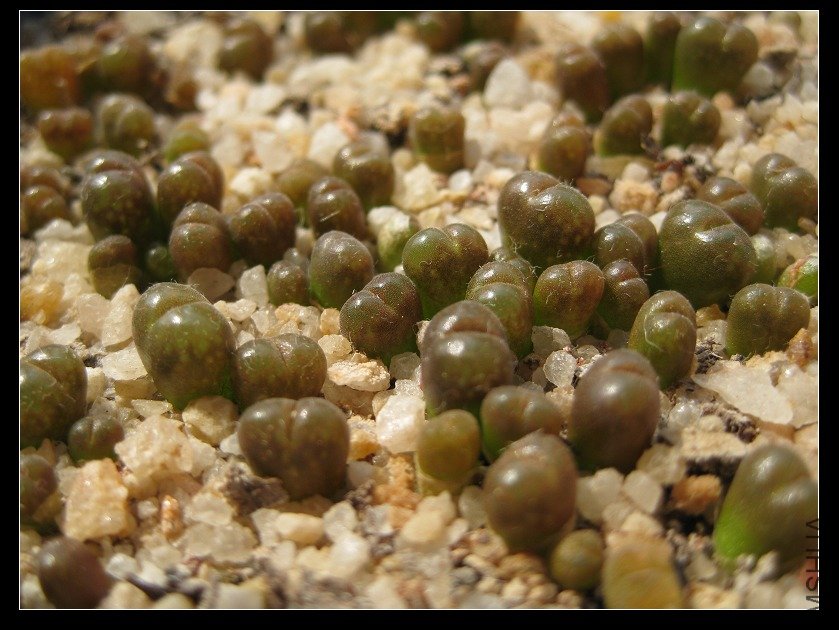 2011��4�� 009.jpg