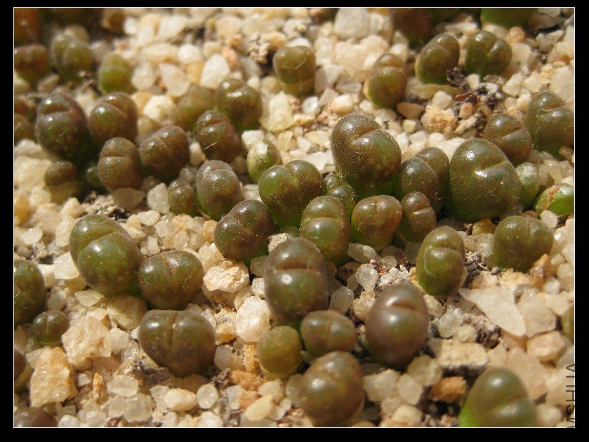 2011��4�� 010.jpg